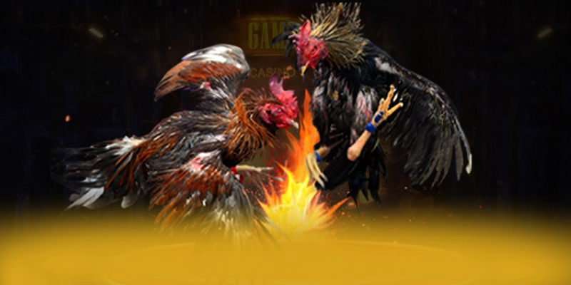 
Cập nhật thông tin về DAGA88 - Cổng game bài phổ biến nhất trên thị trường
