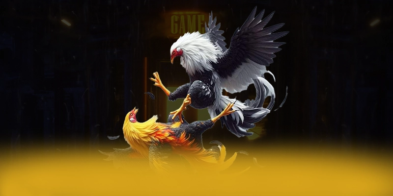 WIN79 – Cổng trò chơi đáng chơi nhất, được cộng đồng game thủ tin tưởng.