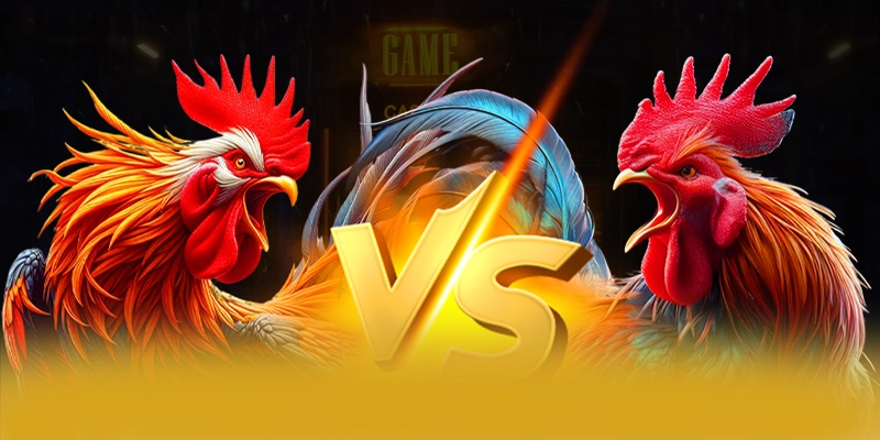 BL555 - Cổng game bài an toàn được giới chuyên môn đánh giá cao – Khám phá hệ thống bảo mật tại BL555 BL555 - Cổng game bài an toàn được giới chuyên môn đánh giá cao – Khám phá hệ thống bảo mật tại BL555