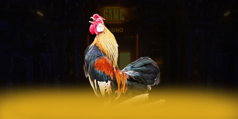 Review chi tiết UK88 - Nhà cái cá cược chất lượng cao trên thị trường Review chi tiết UK88 - Nhà cái cá cược chất lượng cao trên thị trường