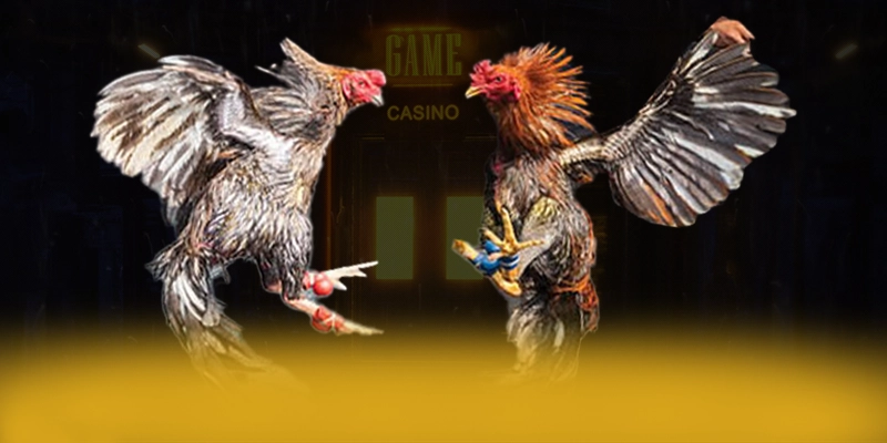 vào rồi tv - Kết luận về trang game đáng trải nghiệm nhất 2025 vào rồi tv - Kết luận về trang game đáng trải nghiệm nhất 2025