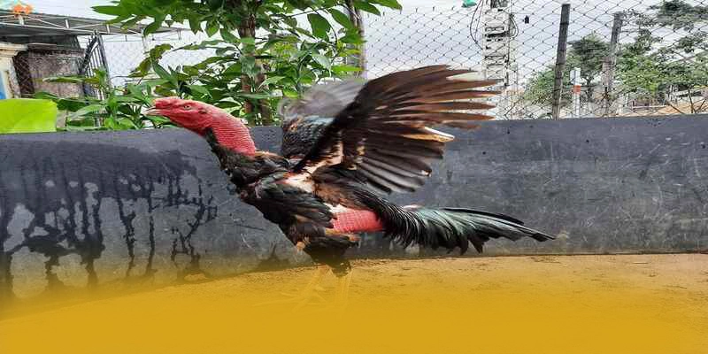 8XBET - Sảnh game tốc độ cao cả điện thoại lẫn máy tính
