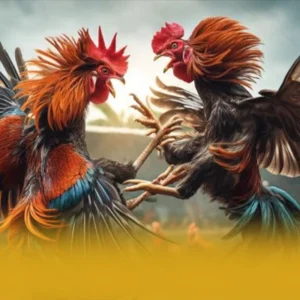 BET168 – Nhà cái được yêu thích nhất trên thị trường
